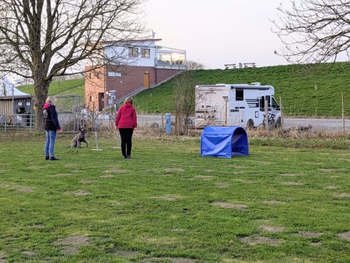 Hooperstrainung