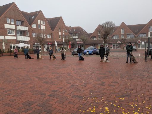 "Stadt"- Training
