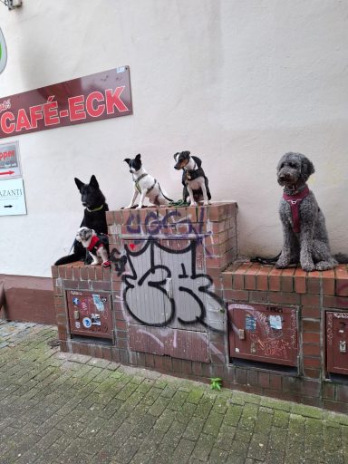 Die Gang ;-)